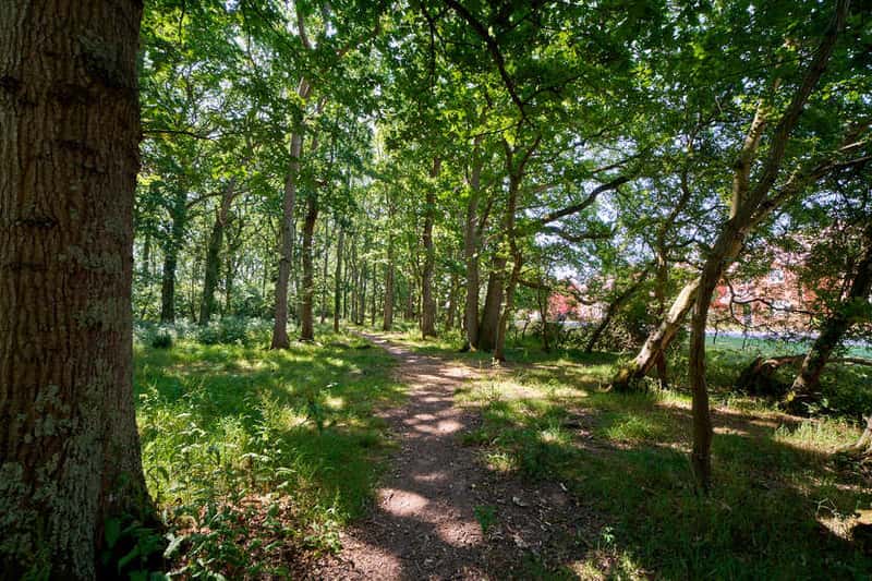 Whiteley Meadows - Image 6