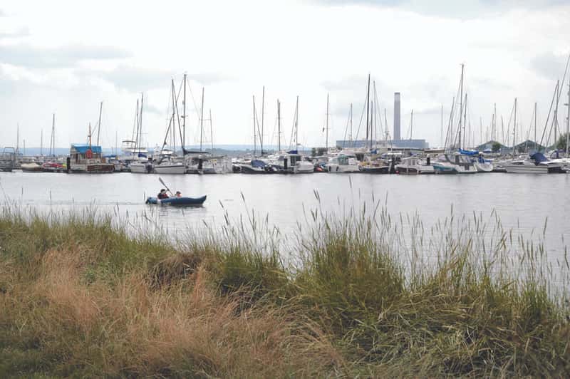 Whiteley Meadows - Image 8