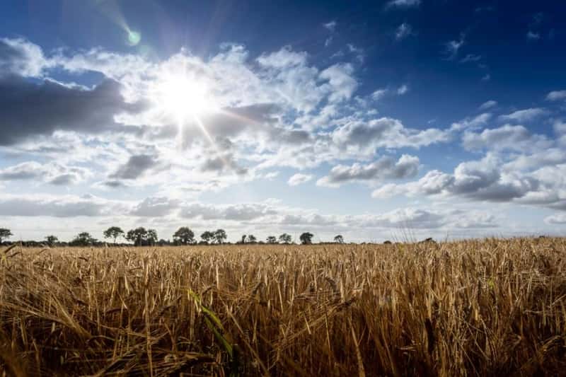 All Saints Green - Image 19