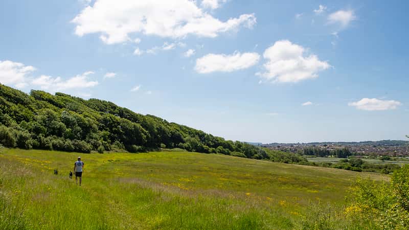 Bincombe Park - Image 4