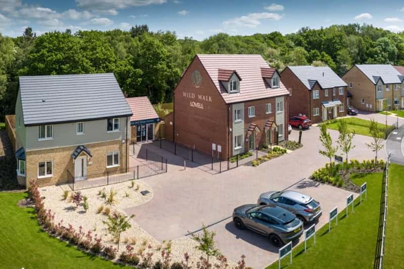 Wild Walk - Image 12