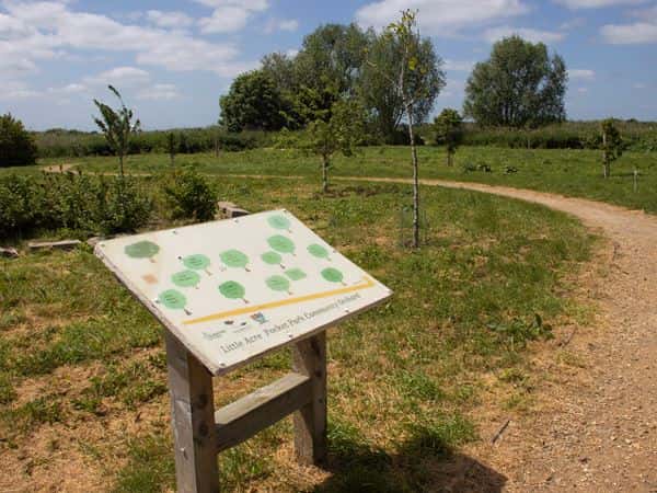 Abbot Walk - Image 5