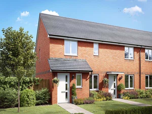 Brucefields - Image 6