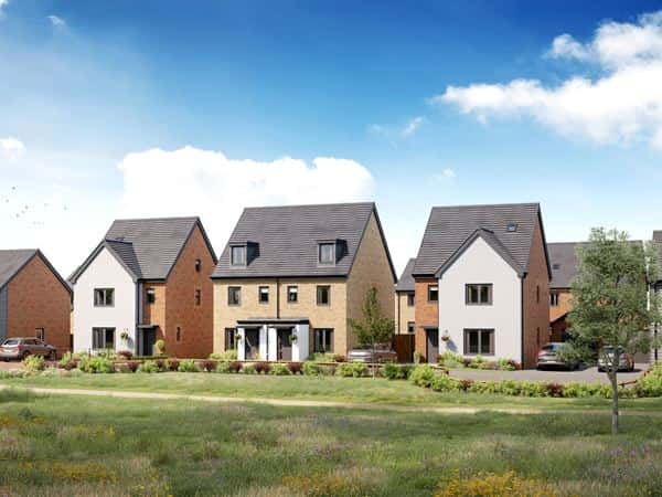 Mulberry Park - Image 3