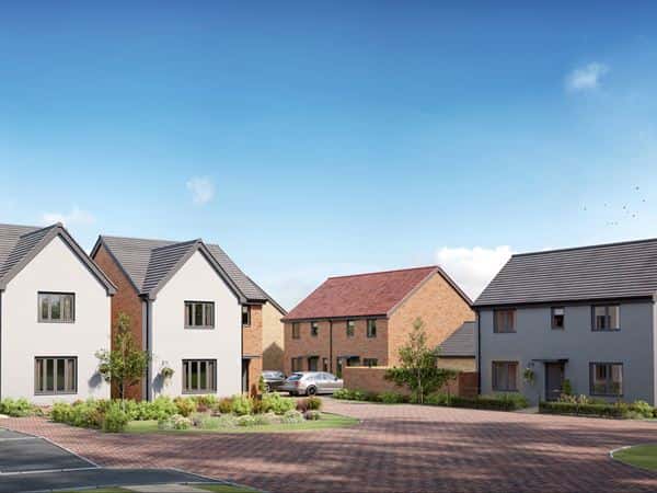 Mulberry Park - Image 5