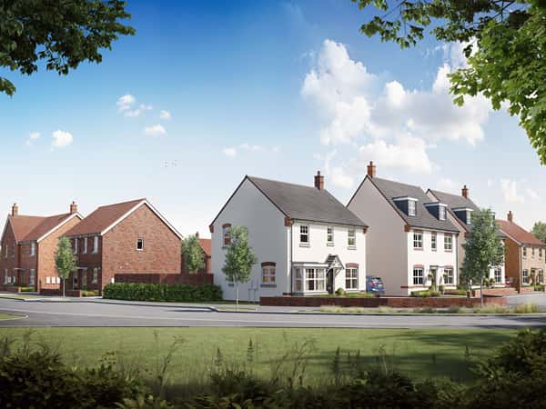 Newman Fields - Image 3