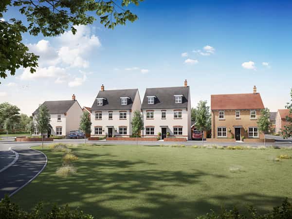 Newman Fields - Image 4