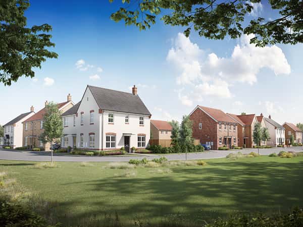 Newman Fields - Image 5