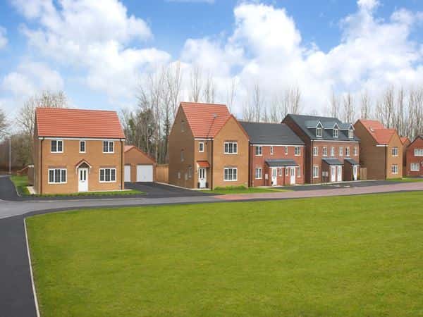 Orchid Gardens at Ladgate Woods - Image 7