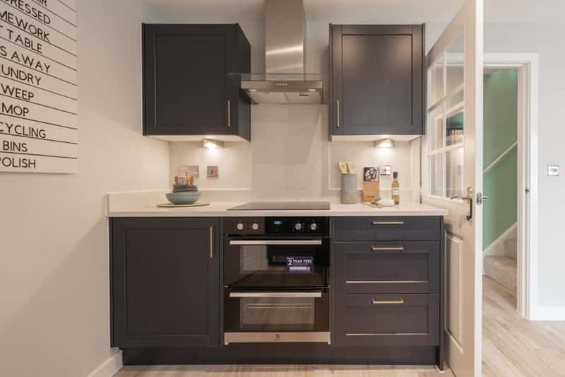 Swan Park - Image 16