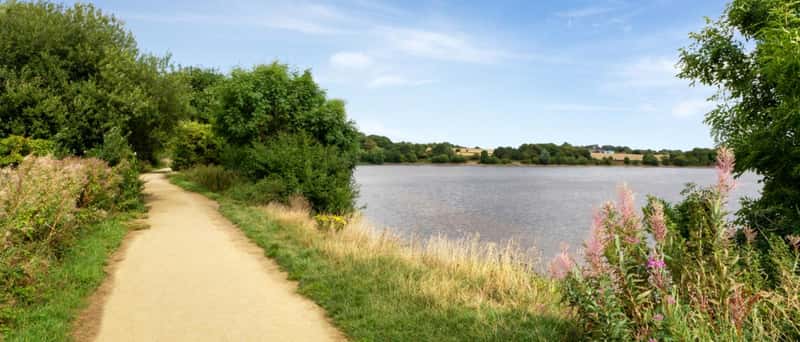 Meadow Vale - Image 3