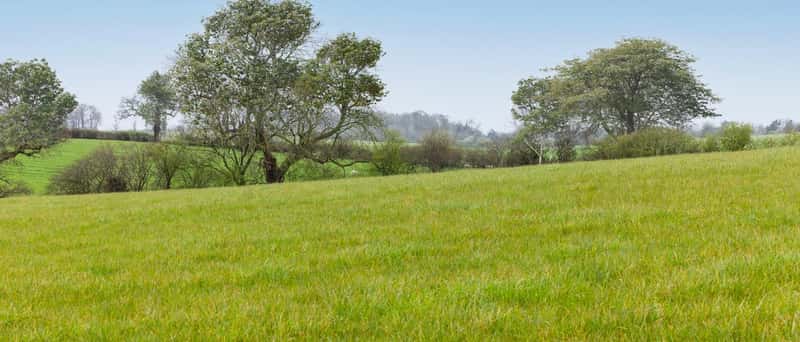 Silverbrook Meadow, Webheath - Image 2