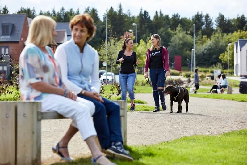 Chester Meadows - Image 2