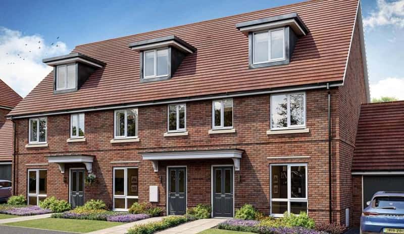 Heatherwood Royal - Image 3