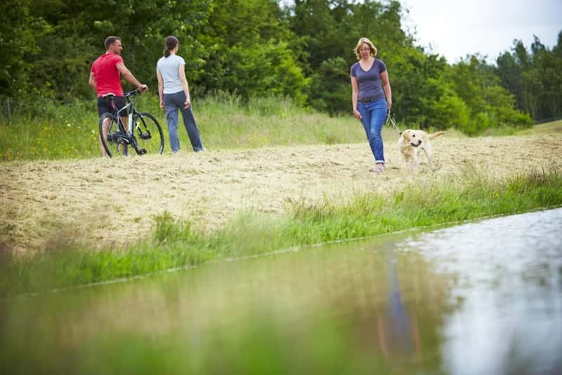 Melin Newydd - Image 2