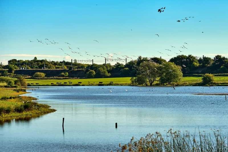 Millstream Meadows - Image 3