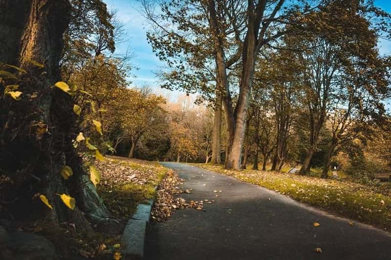 Seaham Garden Village - Image 2