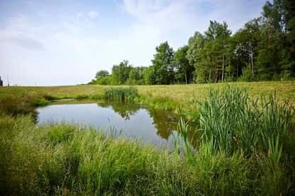 The Mill at Polegate - Image 1