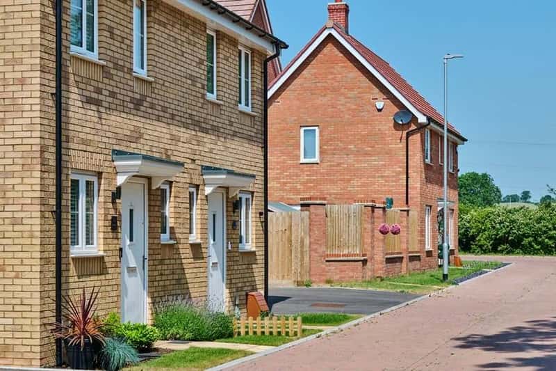 Thorn Fields - Image 1