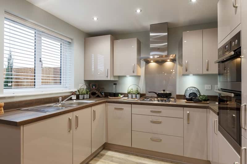 Thorn Fields - Image 14