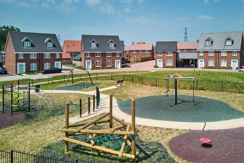 Thorn Fields - Image 3