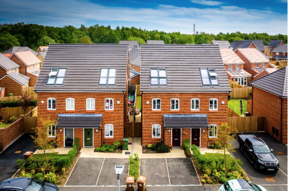 Juniper Grove — photo 3