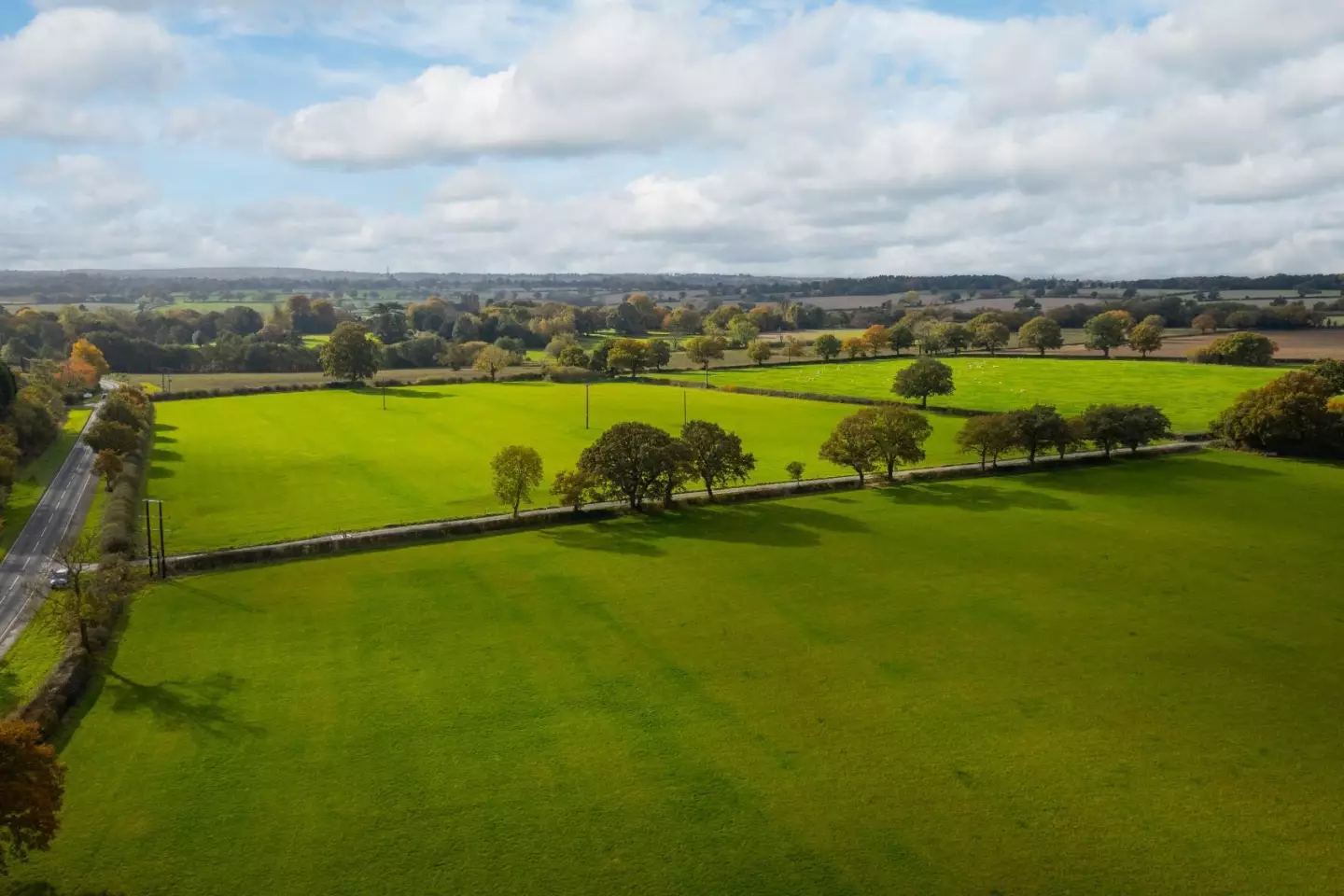 Yew Tree Meadows — photo 3