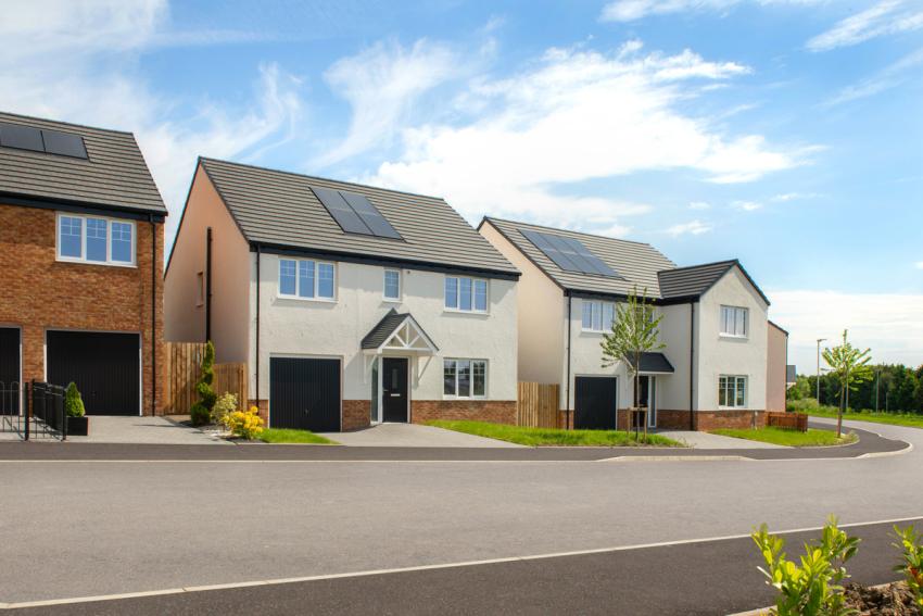 Darach Fields, Robroyston, Glasgow — photo 1