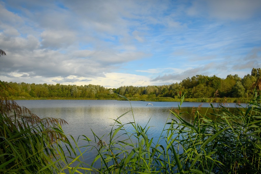 Amberswood Rise II — photo 14