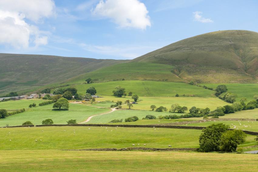 Bowland Meadow — photo 9