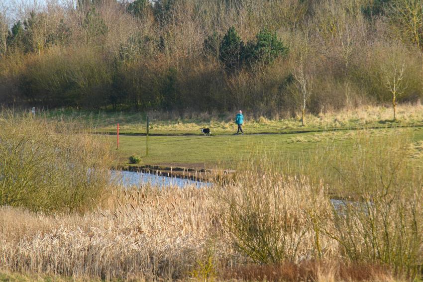 Church Fields — photo 9