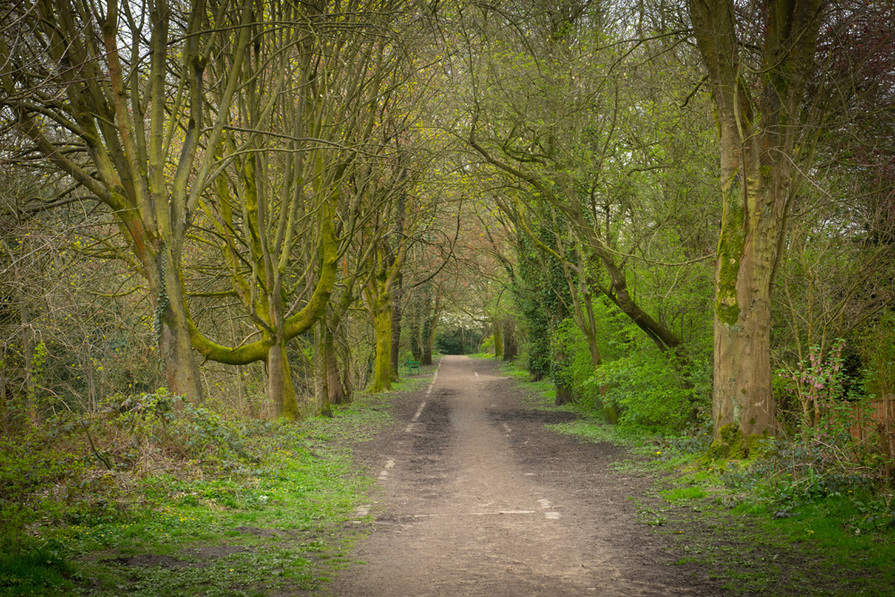 Midshires Meadow — photo 8