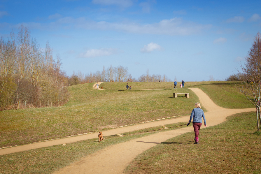 The Orchard at West Park — photo 10