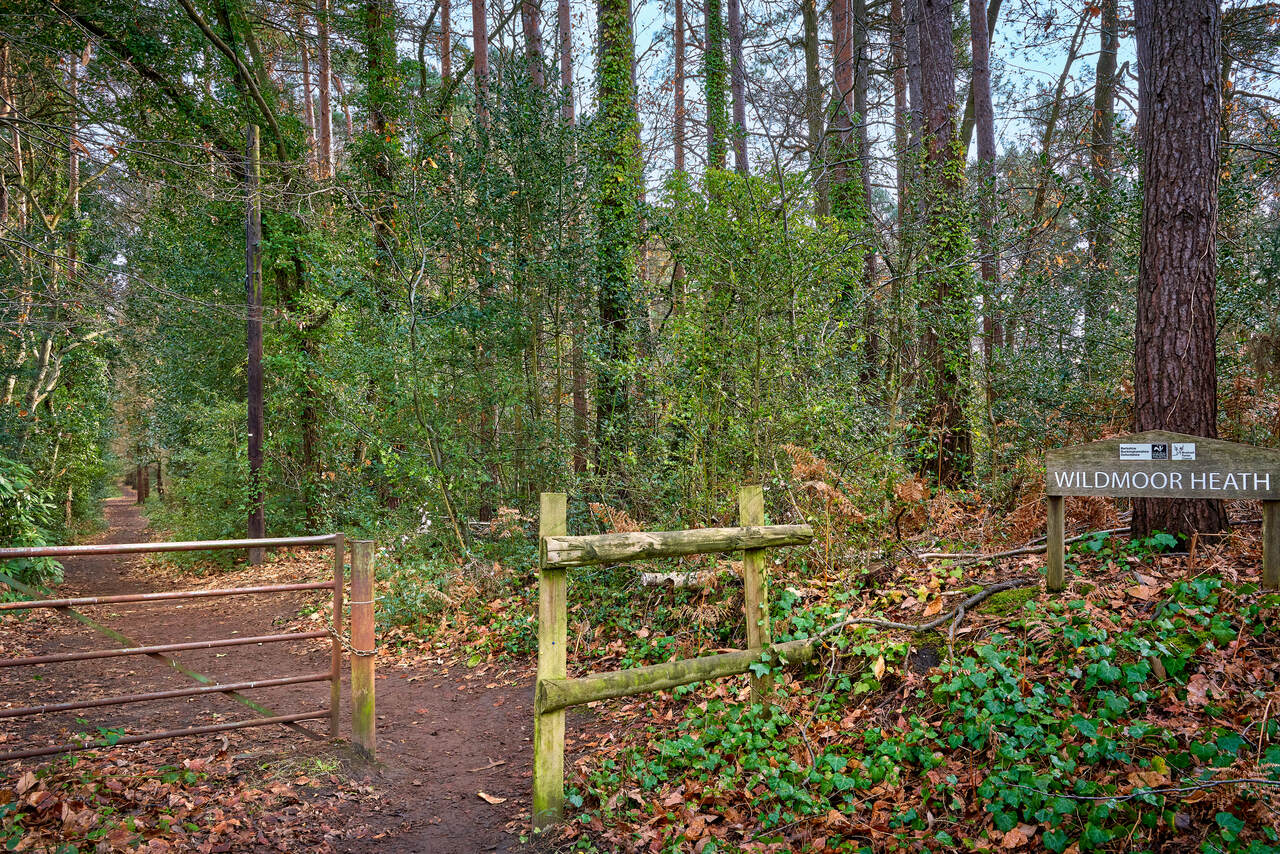 Buckler's Park — photo 10