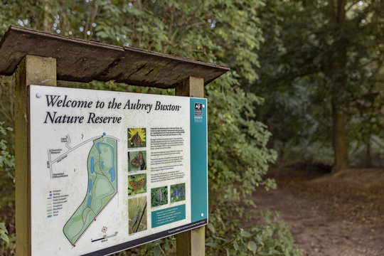 Elsenham Brook, Bishop's Stortford, Hertfordshire — photo 1