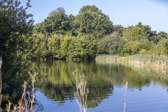 Elsenham Brook — photo 5