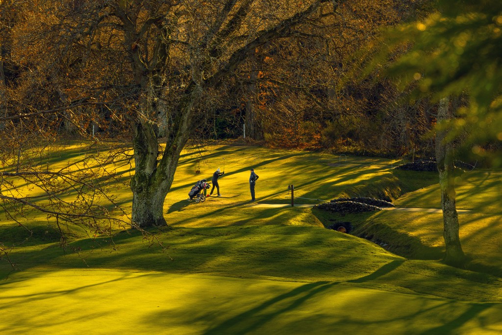 Raemoir Park, Banchory — photo 10