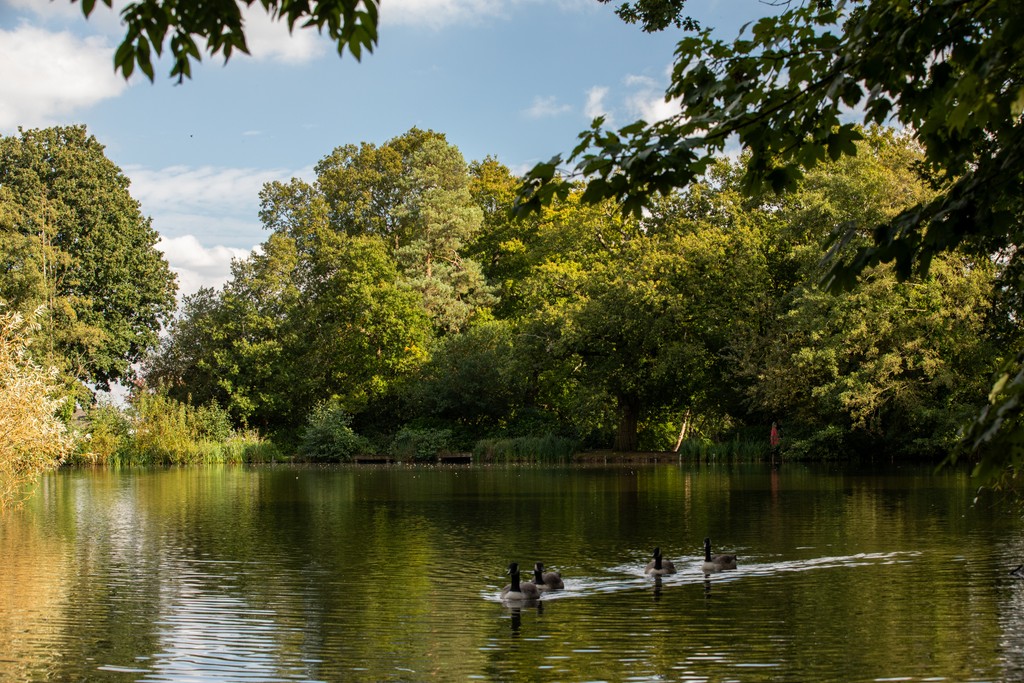 Sambrooke Park — photo 9