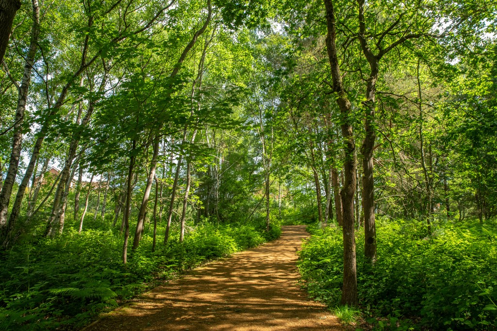 The Glades at Mindenhurst — photo 11