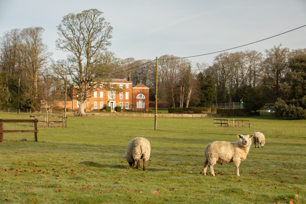 Worting Park — photo 8