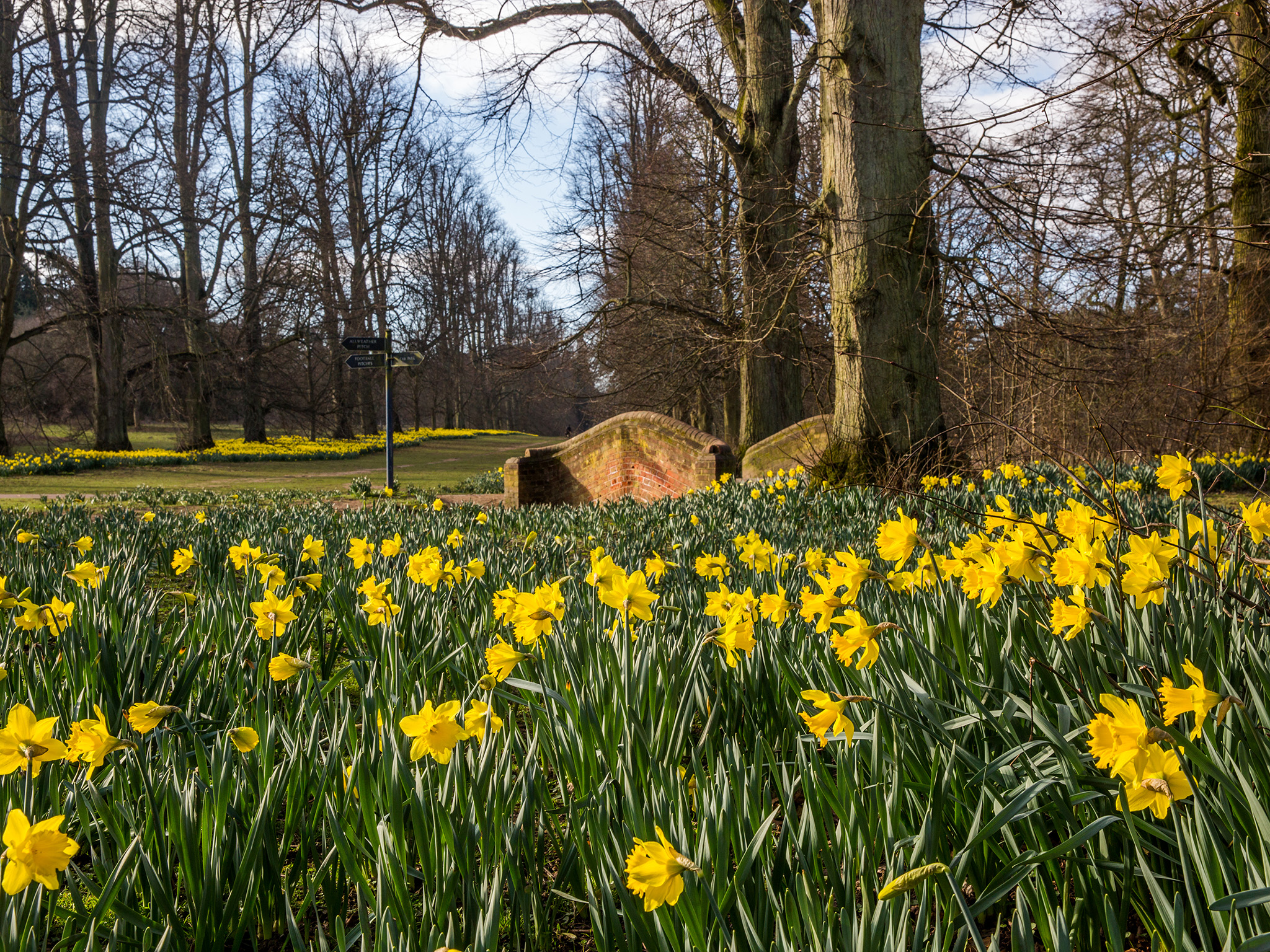 Charles Church @ Abbots Vale — photo 3