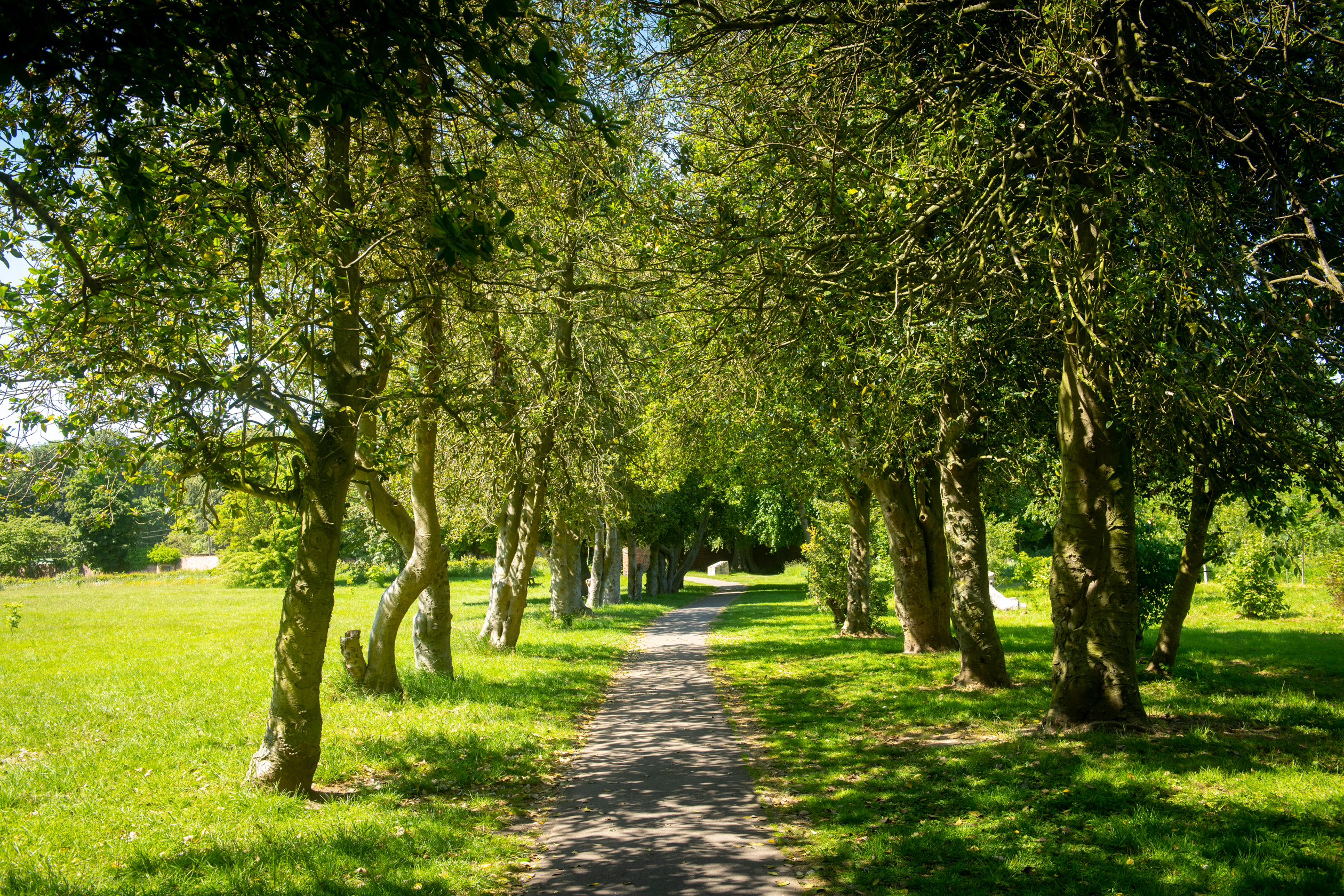 Doxford Green — photo 8