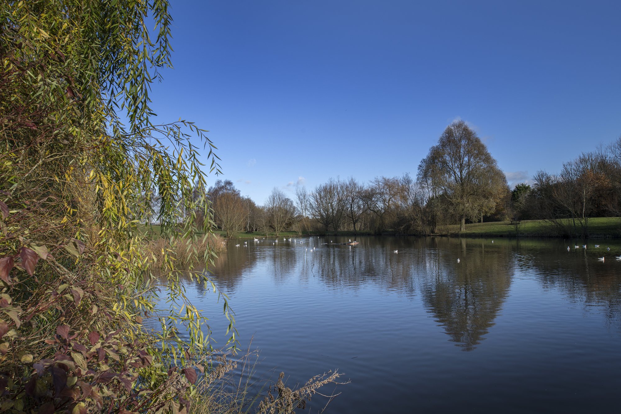 Ladden Garden Village — photo 8