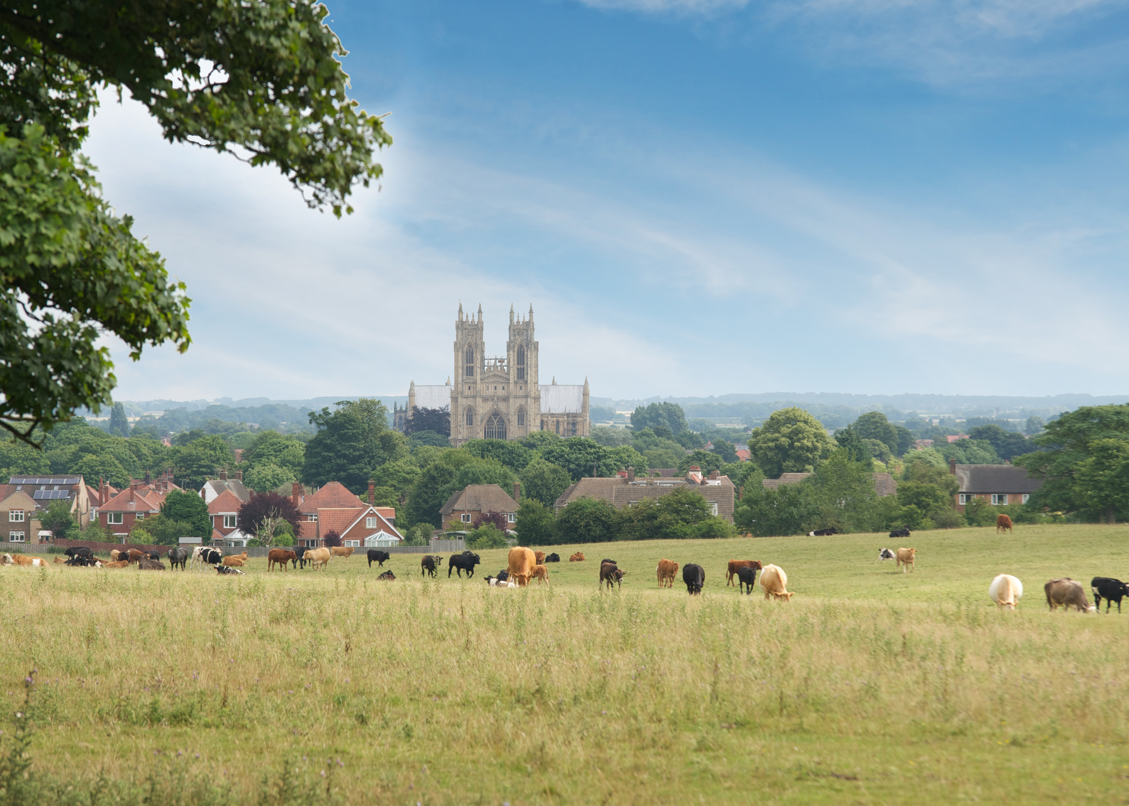 Minster View — photo 4