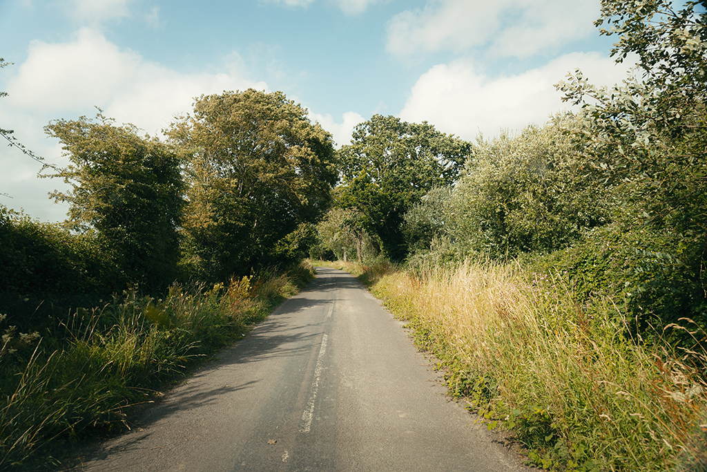 Nursery Fields — photo 10