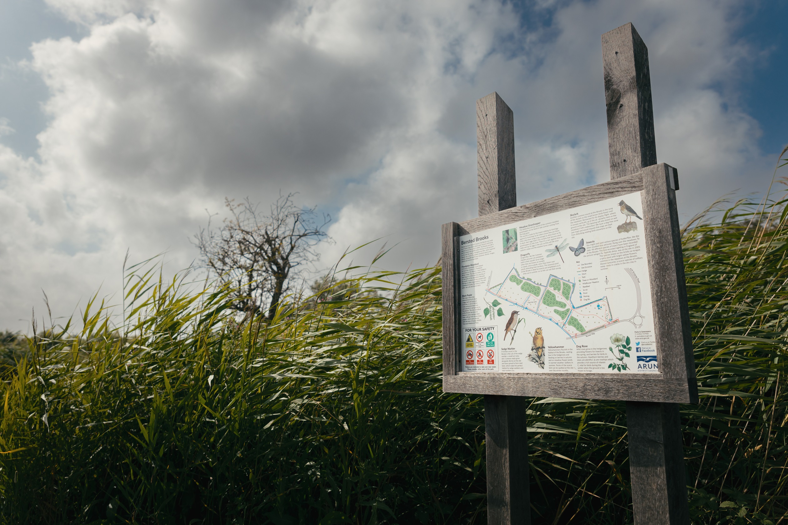 Nursery Fields — photo 7