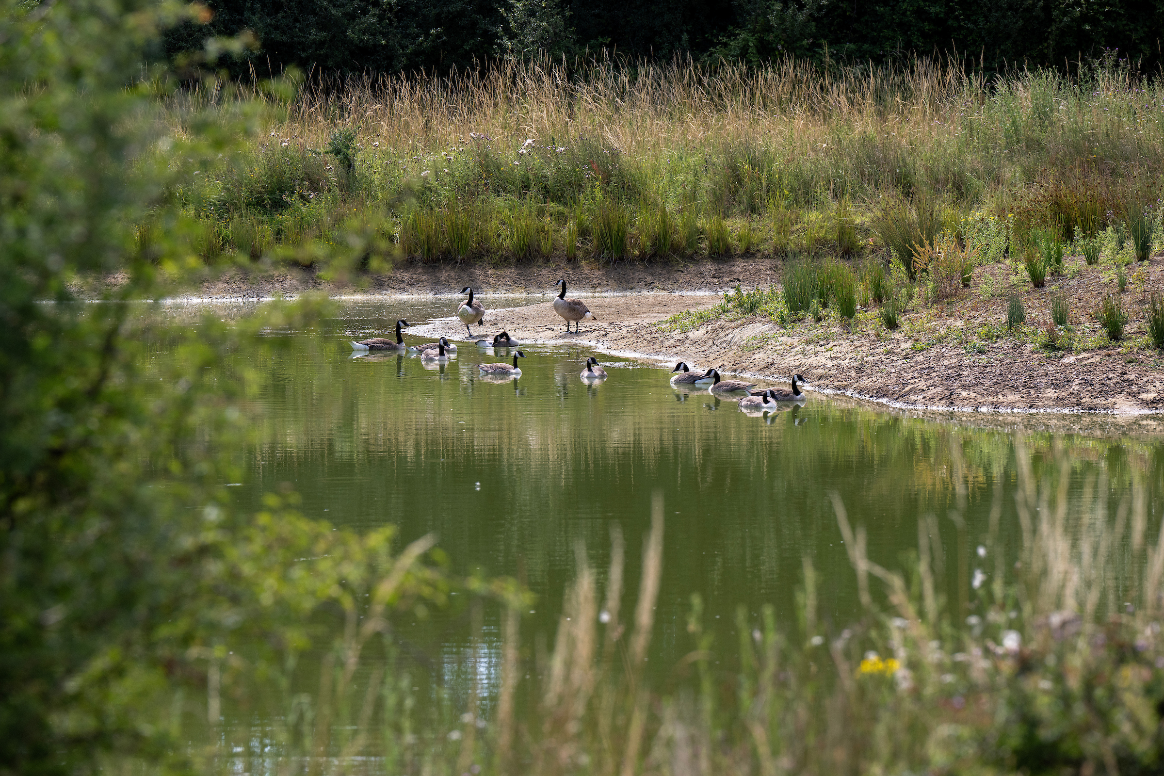 Orchards Rise — photo 8