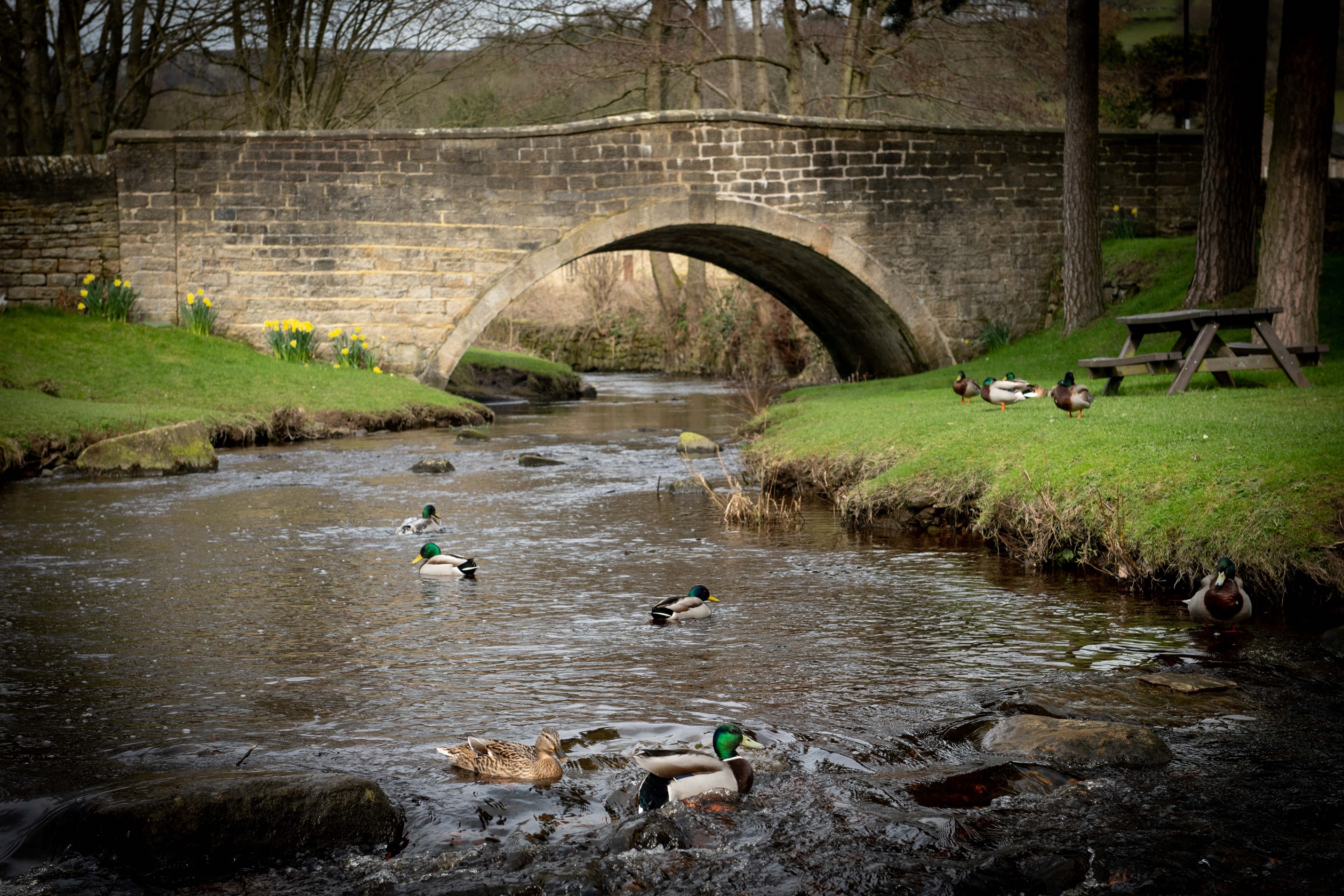 Oughtibridge Valley, Sheffield — photo 10