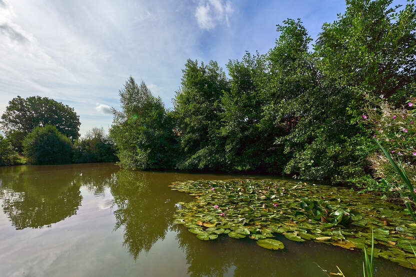 Boorley Park, Boorley Green — photo 3