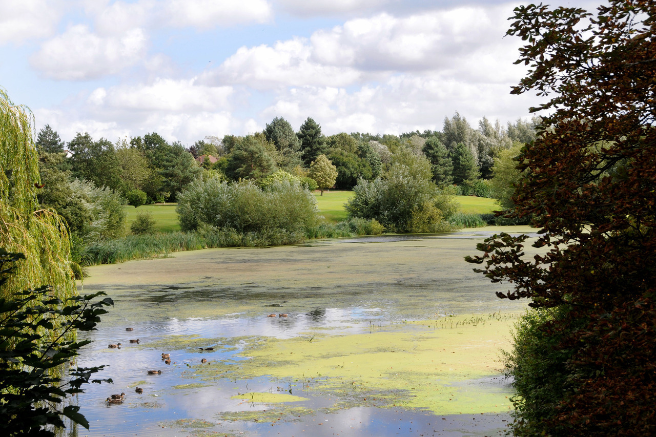 Collingtree Park — photo 10